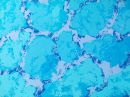 paint_h_1-0014_b.jpg