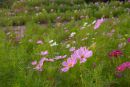 ESummer_0043.jpg